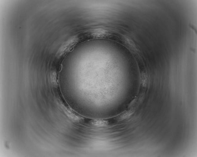 X0000099520670200805151526