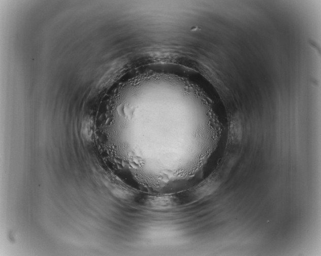 X0000099520671200805151526