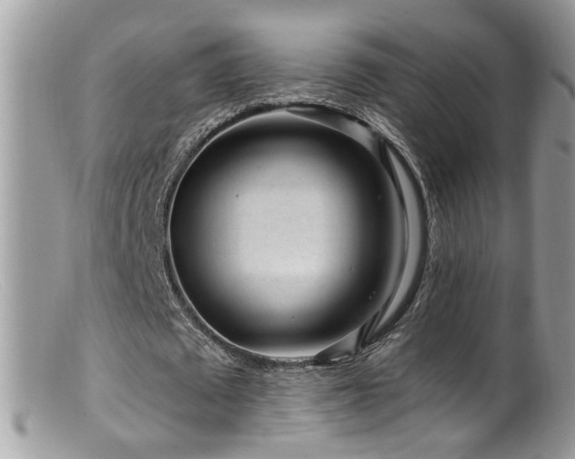 X0000099520673200805151525