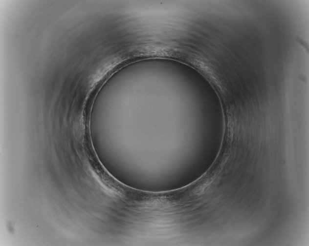 X0000099520674200805151525