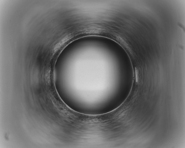 X0000099520675200805151525