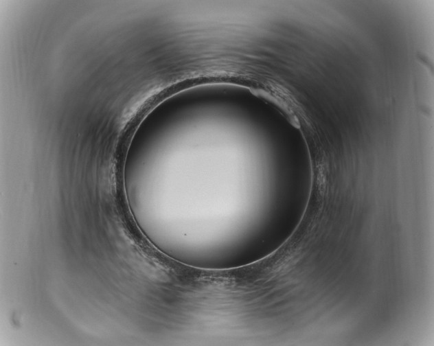 X0000099520676200805151525