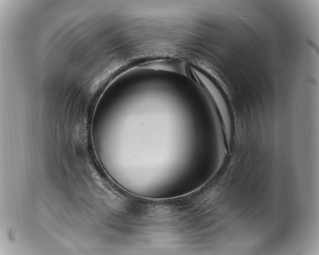 X0000099520677200805151525