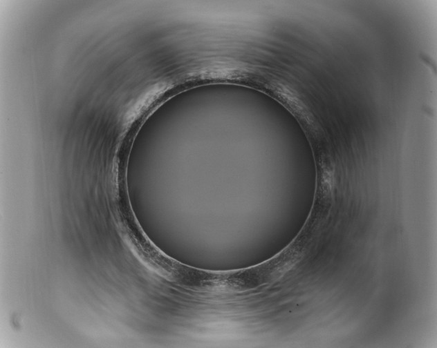 X0000099520678200805151525