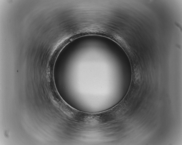 X0000099520680200805151525