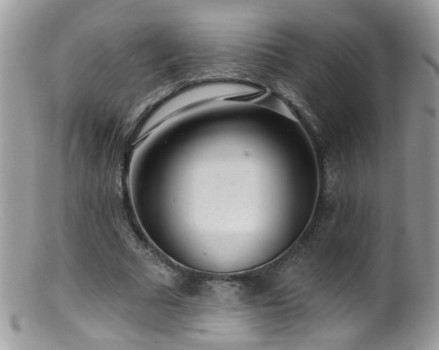 X0000099520681200805151525