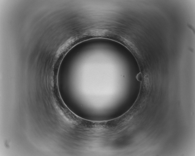 X0000099520682200805151525