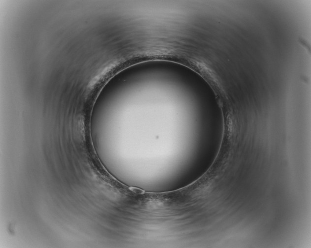 X0000099520684200805151525