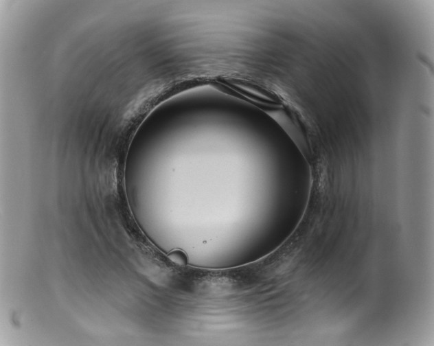 X0000099520685200805151525