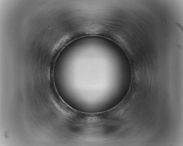 X0000099520686200805151525
