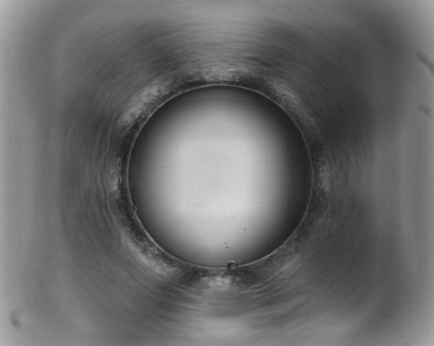 X0000099520687200805151525