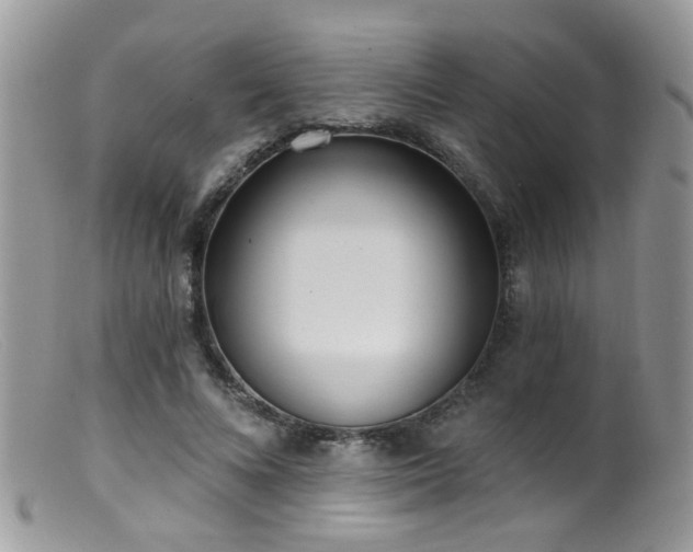 X0000099520688200805151525