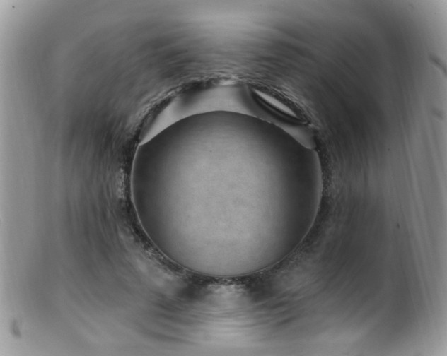 X0000099520689200805151525
