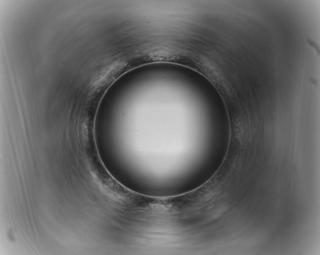 X0000099520690200805151525
