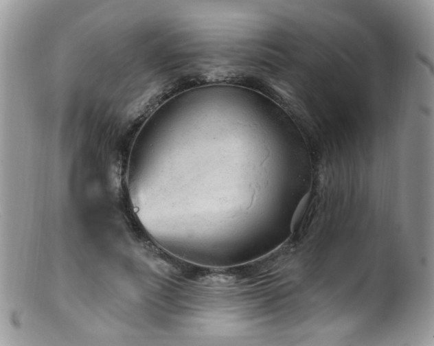 X0000099520691200805151525