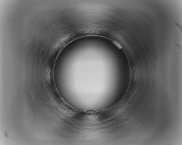 X0000099520692200805151525