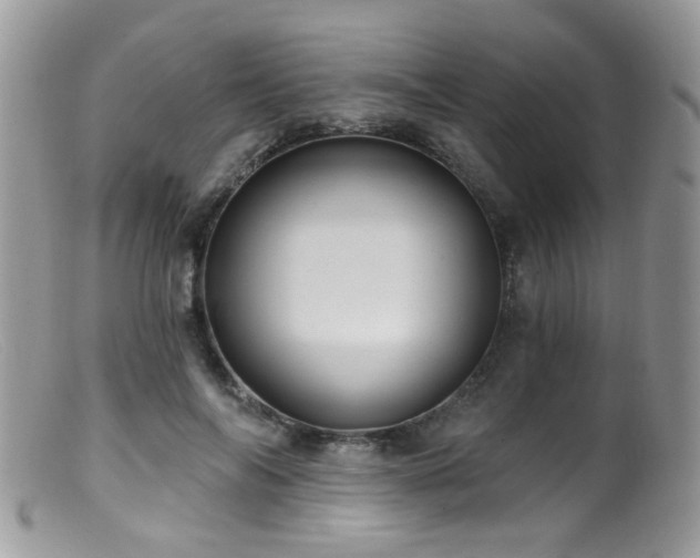 X0000099520694200805151525