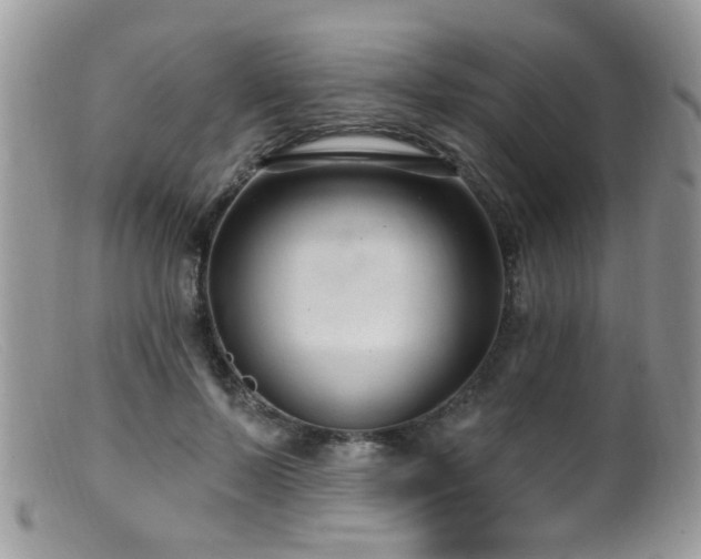 X0000099520695200805151525