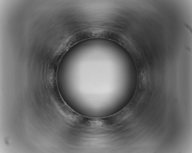 X0000099520698200805151525