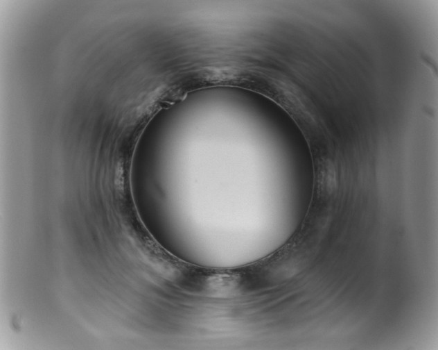 X0000099520700200805151525