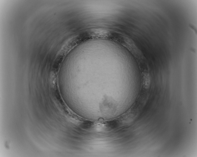 X0000099520701200805151525