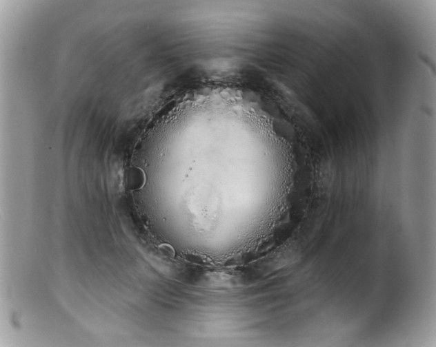 X0000099520703200805151525