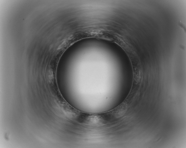 X0000099520704200805151525