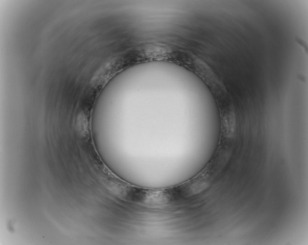 X0000099520705200805151525
