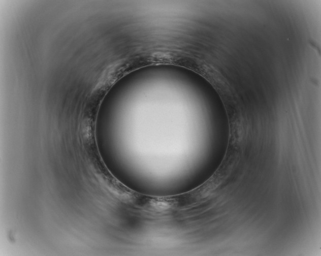 X0000099520706200805151525