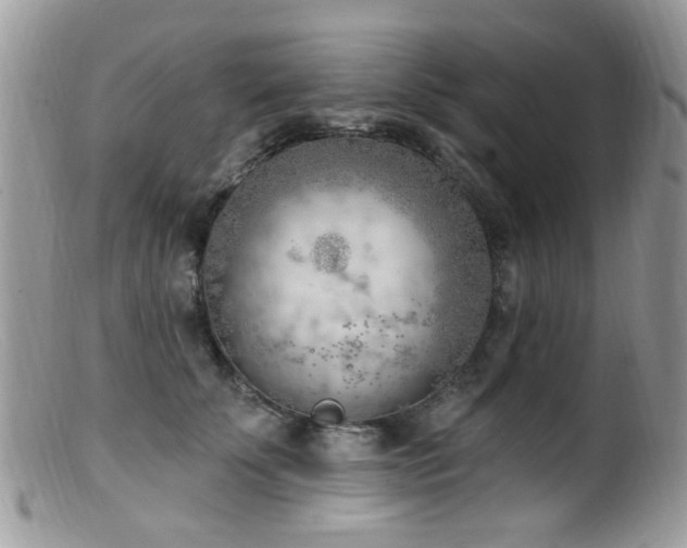 X0000099520707200805151525