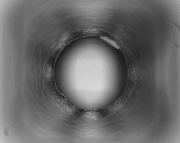 X0000099520708200805151525