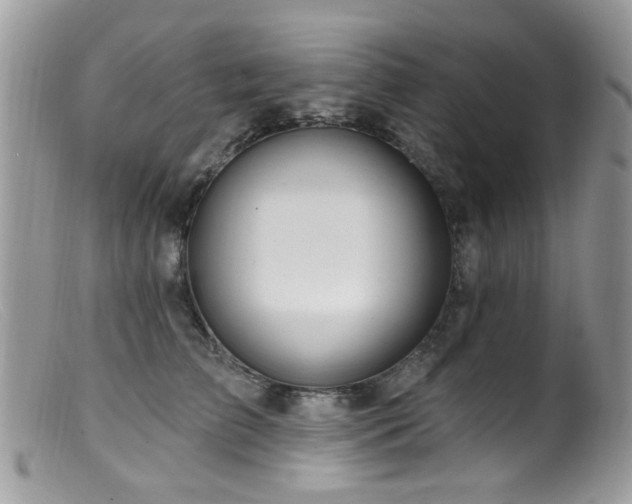 X0000099520709200805151525