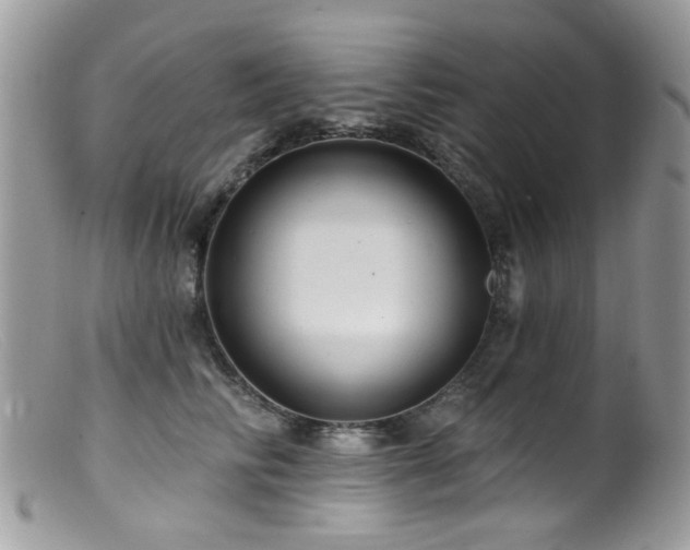 X0000099520710200805151525