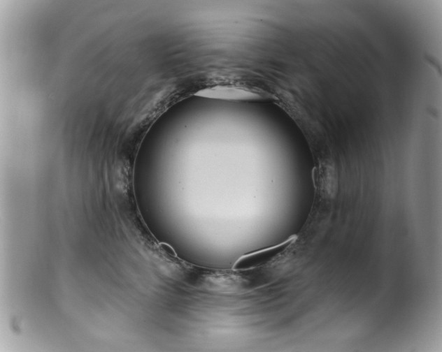 X0000099520712200805151525