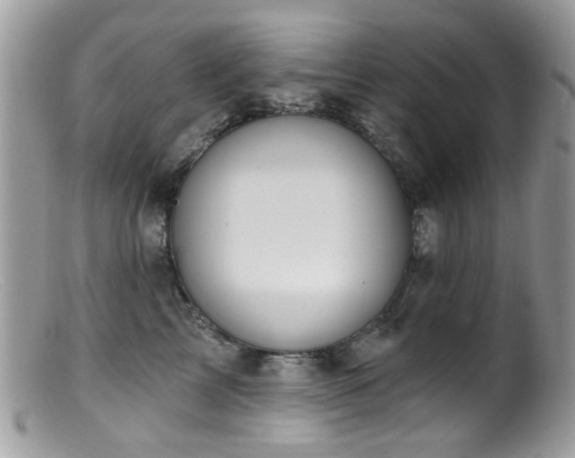 X0000099520713200805151525