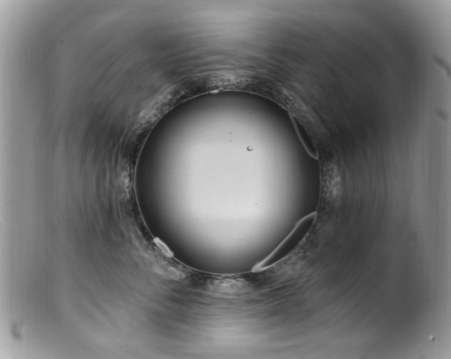 X0000099520716200805151525