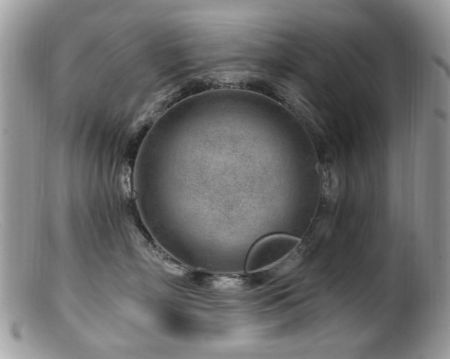 X0000099520718200805151525