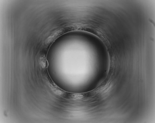 X0000099520719200805151525