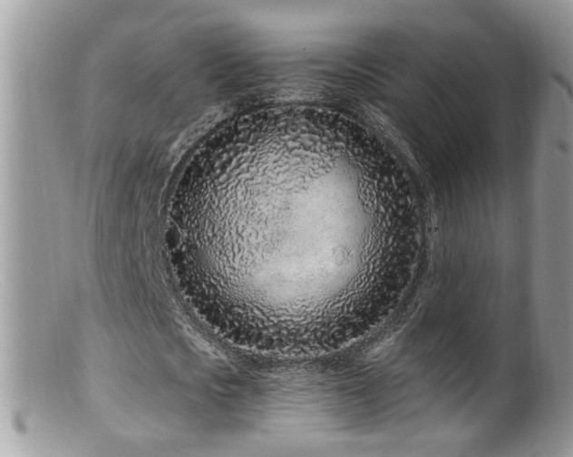 X0000099520721200805151524
