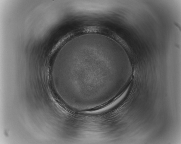 X0000099520722200805151524
