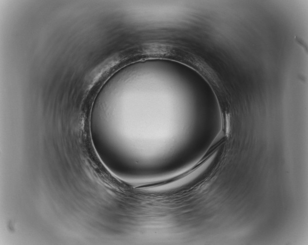 X0000099520723200805151524
