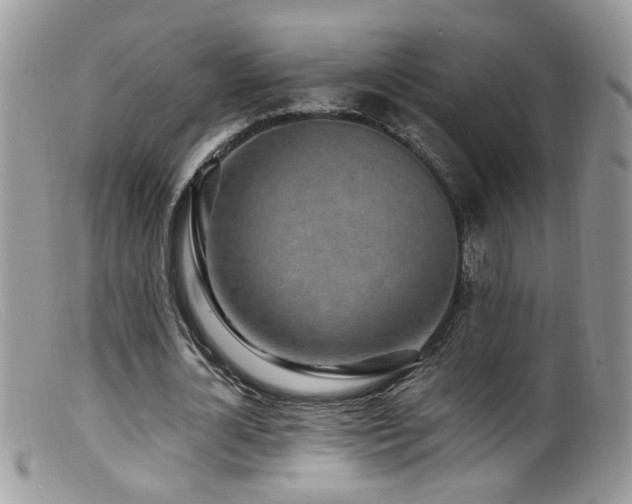 X0000099520724200805151524