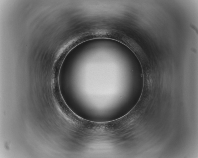 X0000099520728200805151524