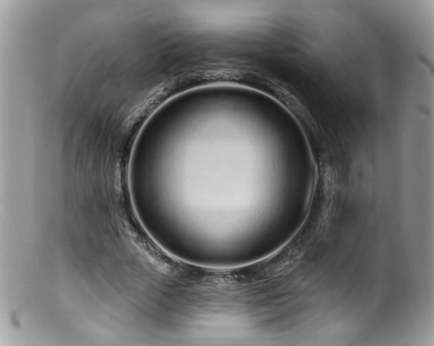 X0000099520729200805151524