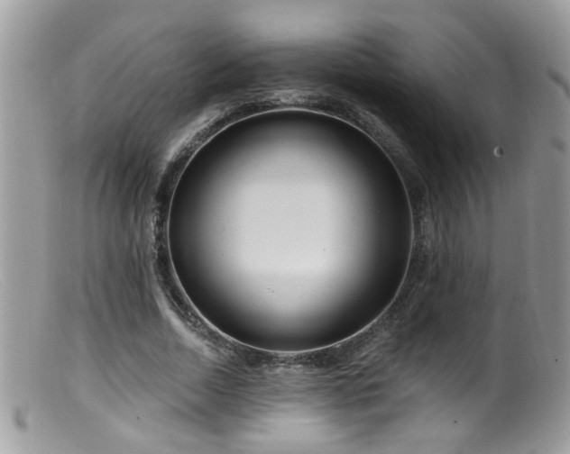 X0000099520730200805151524