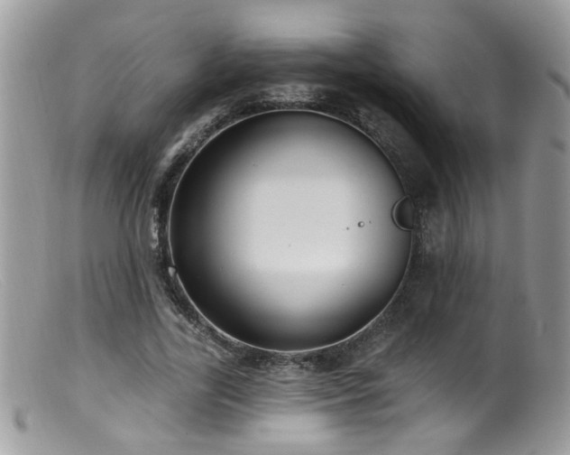 X0000099520731200805151524