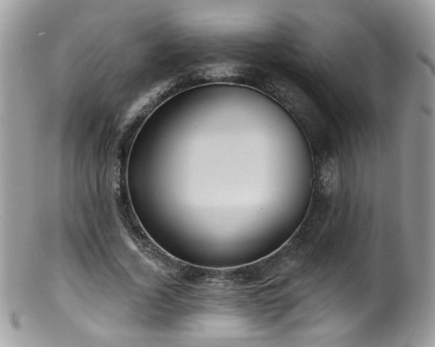 X0000099520732200805151524