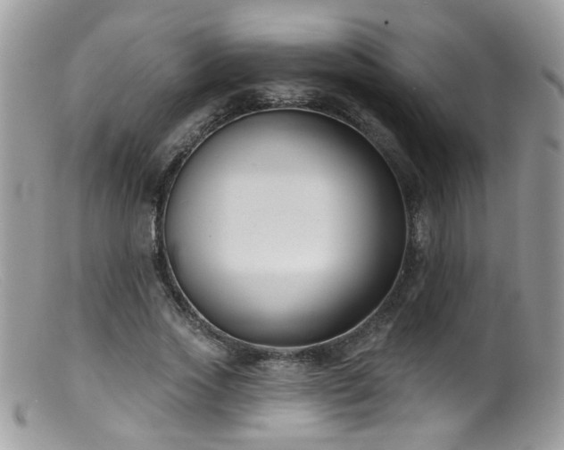 X0000099520733200805151524