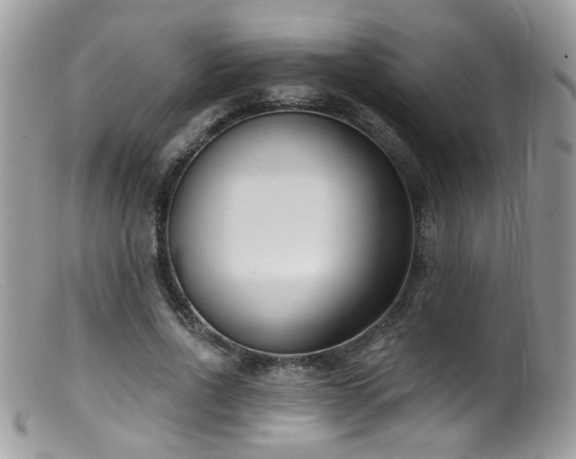 X0000099520734200805151524
