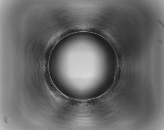 X0000099520736200805151524